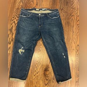 Anthropologie Pilcro Slim Boyfriend, size 22W